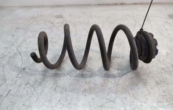 Rear coil spring