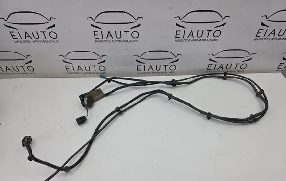 Volvo S60 Other wiring loom 31210009