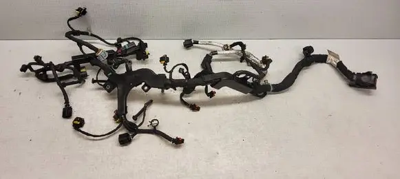 Jeep Grand Cherokee Engine installation wiring loom 48852022F 1928405200 204717