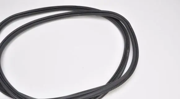 BMW 5 G60 G61 Rubber seal front door (on door) 5A01515