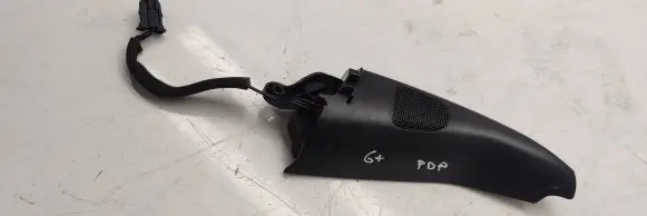 Front door high frequency speaker