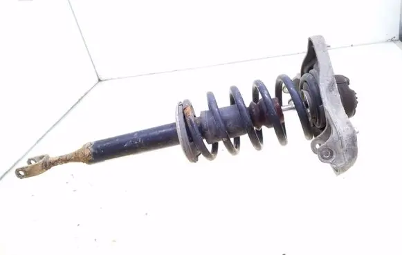 Front shock absorber with coil spring