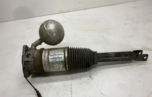 Volkswagen Phaeton Rear shock absorber/damper 3D0616002