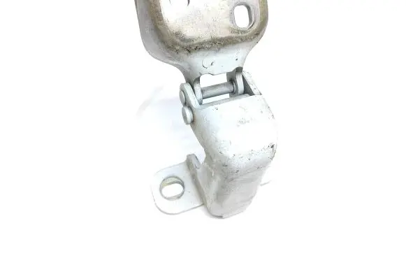 Renault Trafic III (X82) Front door lower hinge 
