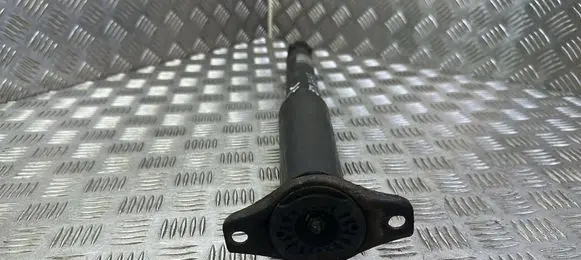 Rear shock absorber/damper