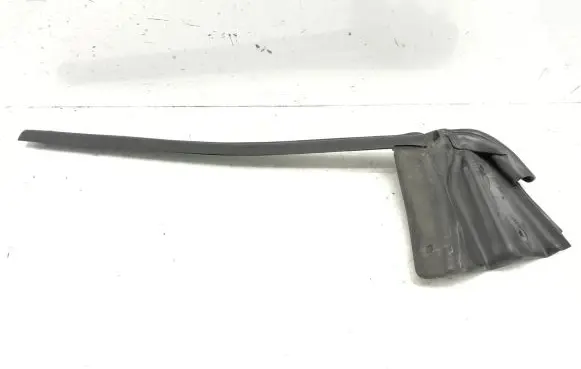 Renault Avantime Rubber seal rear door window/glass 6025409318D