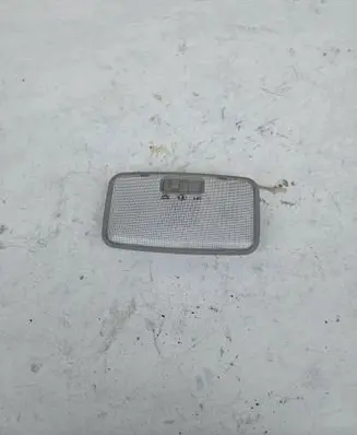 Toyota RAV 4 (XA40) Rear seat light