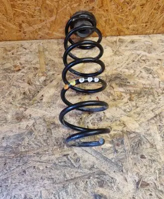 Rear coil spring
