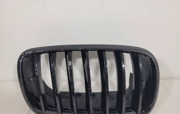 Front bumper upper radiator grill