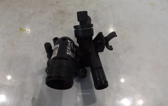 Thermostat/thermostat housing