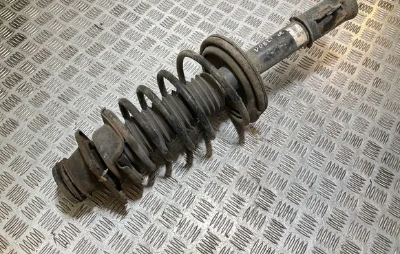 Fiat Doblo Front shock absorber/damper 517552480