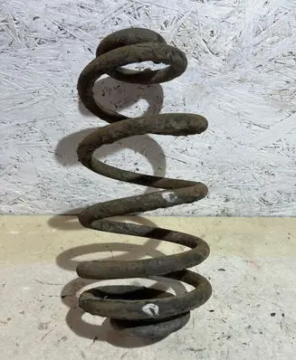 Volkswagen PASSAT B6 Rear coil spring