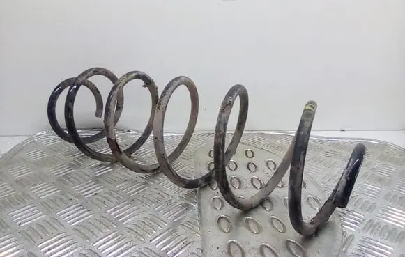 Front coil spring