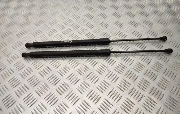 Renault Scenic III - Grand scenic III Tailgate/trunk strut/damper 904500004R