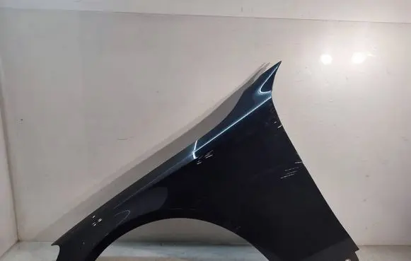 Mercedes-Benz S W222 Fender 
