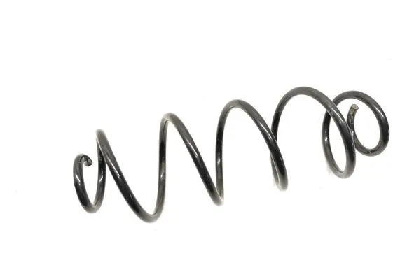 Rear coil spring