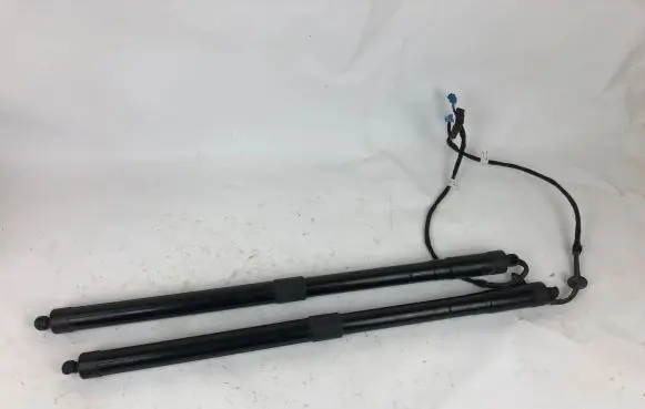 Tailgate strut