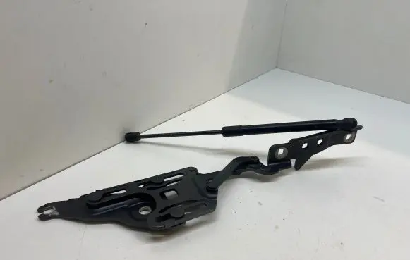 BMW X6 E71 Engine bonnet/hood hinges 7148347