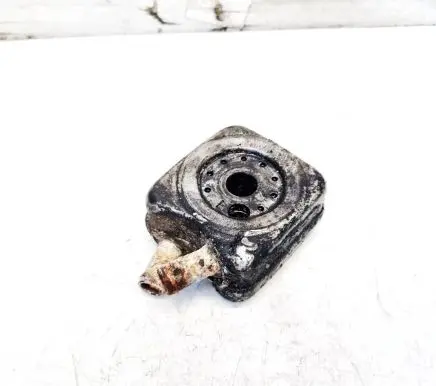 Volkswagen PASSAT B4 Engine oil radiator 