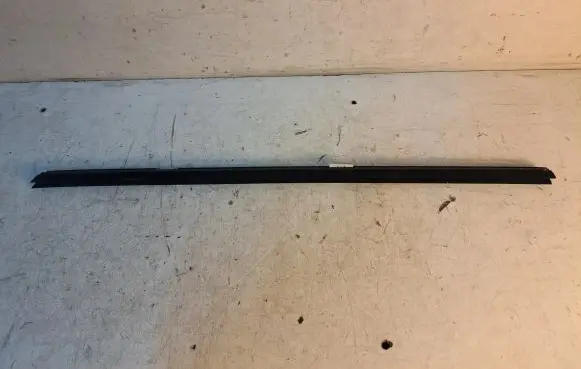 BMW X6 M Front door glass trim molding 7179427