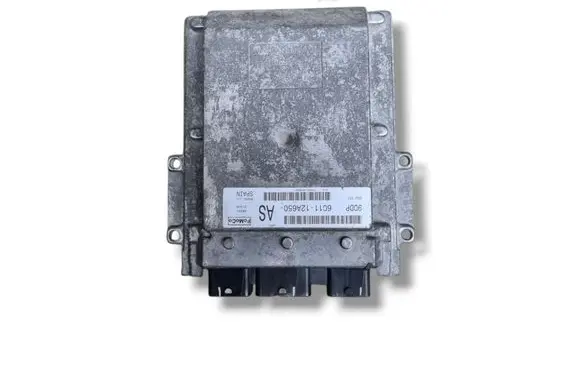Engine control unit/module ECU