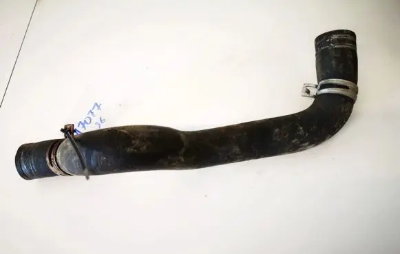 Peugeot 406 Engine coolant pipe/hose