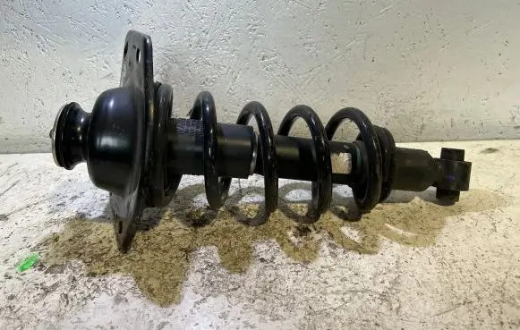 Chevrolet Camaro Rear shock absorber with coil spring 92195466