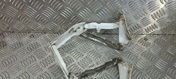 Mercedes-Benz Sprinter W906 Engine bonnet/hood hinges 9067500021