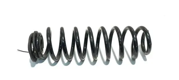 Toyota RAV 4 (XA50) Rear coil spring 4823142590 24113
