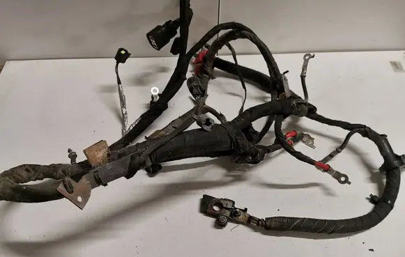 Engine installation wiring loom