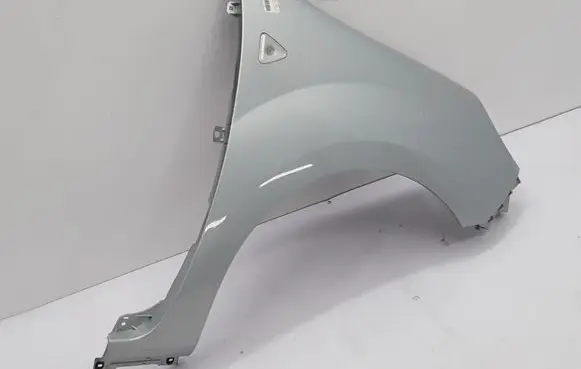Renault Kangoo II Fender 631002009R