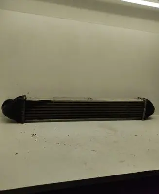 Mercedes-Benz B W245 Intercooler radiator A1695000000