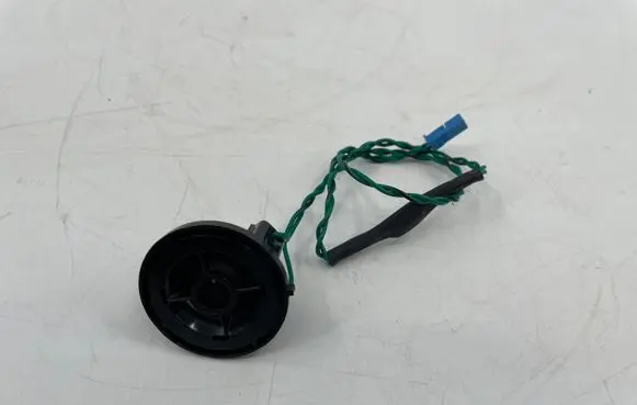 BMW iX1 Rear door speaker 5A06FA9