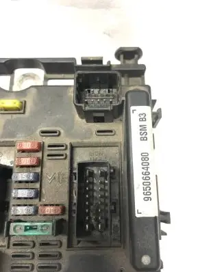 Peugeot 307 Fuse module 9650664080 42362491 BSMB3