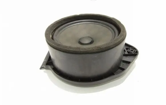 Rear door speaker