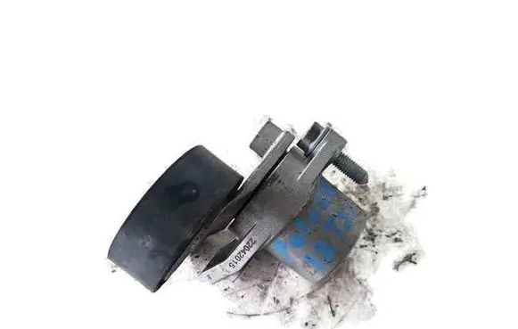 Volkswagen Cross Polo Generator/alternator belt tensioner 04E145299L