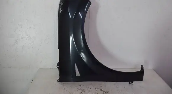 Renault Scenic II - Grand scenic II Fender BLOTNIKSCENICII