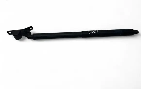 BMW X5 E70 Tailgate/trunk strut/damper 7294199