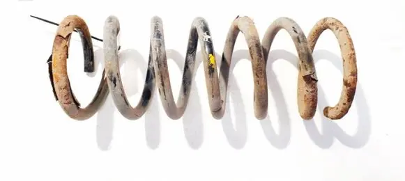 Ford S-MAX Rear coil spring