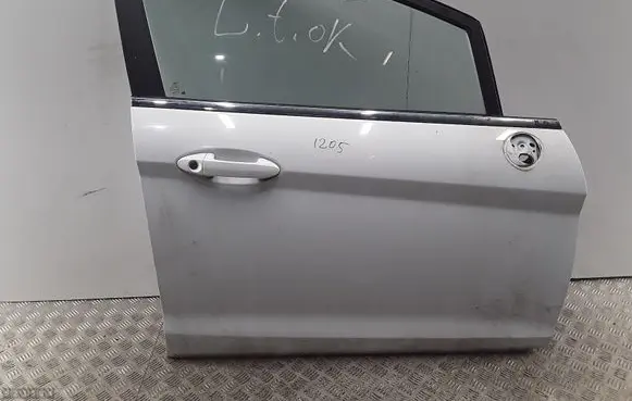 Ford Fiesta Front door 