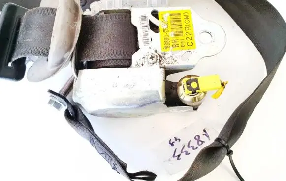Renault Laguna III Front seatbelt 888802b200wk