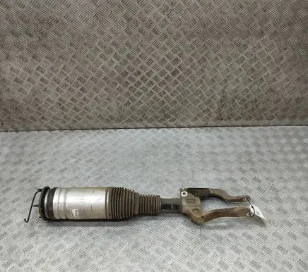 Land Rover Discovery 5 Air suspension front shock absorber MY423C286AB