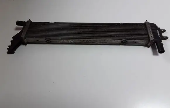 Dacia Dokker Coolant radiator 214108831R