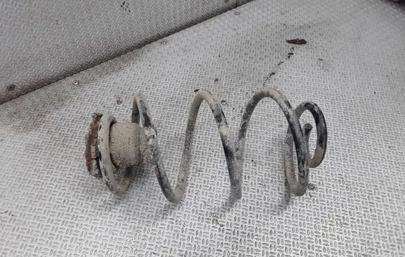 Rear coil spring