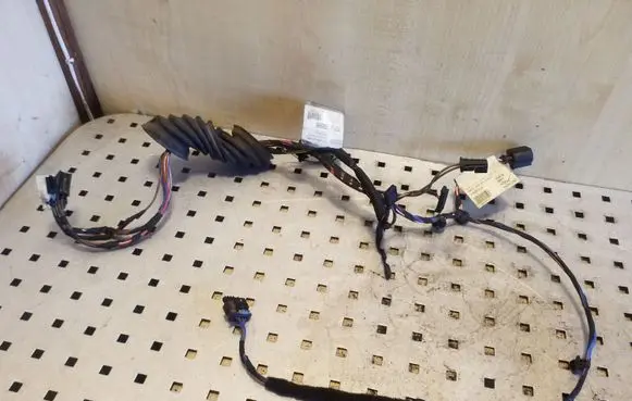 Volkswagen Crafter Front door wiring loom A9060005999