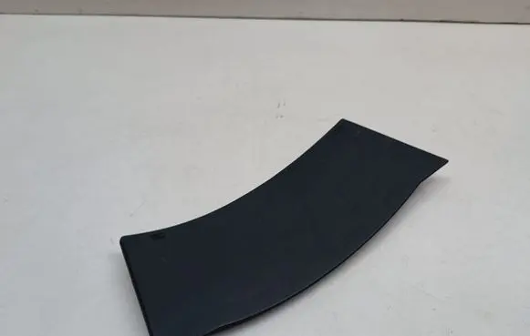 Rear/tail light trim molding