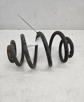 Rear coil spring