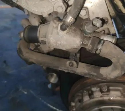 Fiat Marea Engine coolant pipe/hose