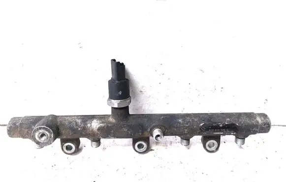 Peugeot 307 Fuel main line pipe 0445214019