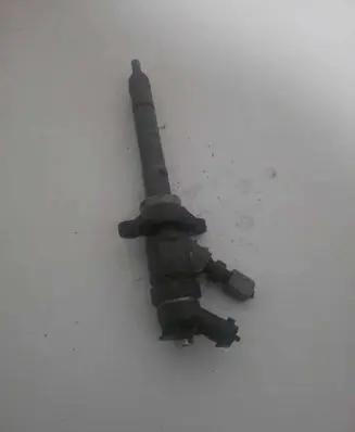 Citroen Berlingo Fuel injector 0445110297